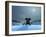 Elephant and Dog at Christmas Night-Mike_Kiev-Framed Photographic Print