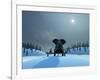 Elephant and Dog at Christmas Night-Mike_Kiev-Framed Photographic Print