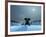 Elephant and Dog at Christmas Night-Mike_Kiev-Framed Photographic Print