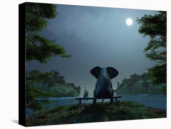 Elephant and Dog Meditate at Summer Night-Mike_Kiev-Stretched Canvas