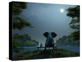 Elephant and Dog Meditate at Summer Night-Mike_Kiev-Stretched Canvas