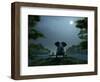 Elephant and Dog Meditate at Summer Night-Mike_Kiev-Framed Photographic Print