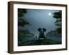 Elephant and Dog Meditate at Summer Night-Mike_Kiev-Framed Photographic Print