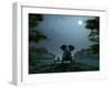 Elephant and Dog Meditate at Summer Night-Mike_Kiev-Framed Photographic Print
