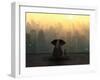 Elephant and Dog Sit on the Roof of a Skyscraper-Mike_Kiev-Framed Premium Photographic Print