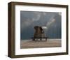 Elephant and Dog Sit Under the Rain-Mike Kiev-Framed Art Print