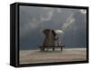 Elephant And Dog Sit Under The Rain-Mike_Kiev-Framed Stretched Canvas