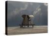 Elephant And Dog Sit Under The Rain-Mike_Kiev-Stretched Canvas