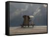 Elephant And Dog Sit Under The Rain-Mike_Kiev-Framed Stretched Canvas