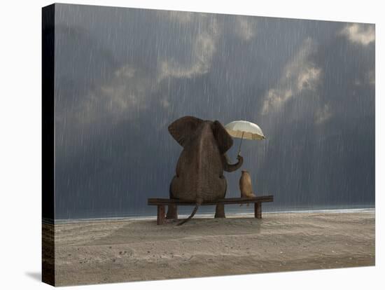 Elephant And Dog Sit Under The Rain-Mike_Kiev-Stretched Canvas