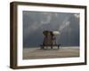 Elephant And Dog Sit Under The Rain-Mike_Kiev-Framed Photographic Print