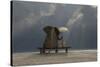 Elephant And Dog Sit Under The Rain-Mike_Kiev-Stretched Canvas