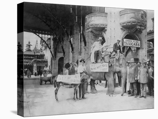 Elephant and Donkey in Luna Park-null-Stretched Canvas