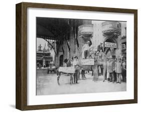 Elephant and Donkey in Luna Park-null-Framed Photo