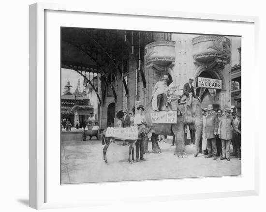 Elephant and Donkey in Luna Park-null-Framed Photo