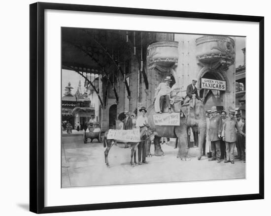 Elephant and Donkey in Luna Park-null-Framed Photo