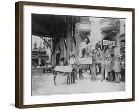 Elephant and Donkey in Luna Park-null-Framed Photo