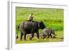 Elephant and Mahout, Kaziranga, Assam, India, Asia-Bhaskar Krishnamurthy-Framed Photographic Print