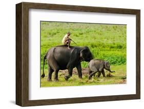 Elephant and Mahout, Kaziranga, Assam, India, Asia-Bhaskar Krishnamurthy-Framed Photographic Print