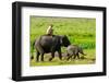 Elephant and Mahout, Kaziranga, Assam, India, Asia-Bhaskar Krishnamurthy-Framed Photographic Print