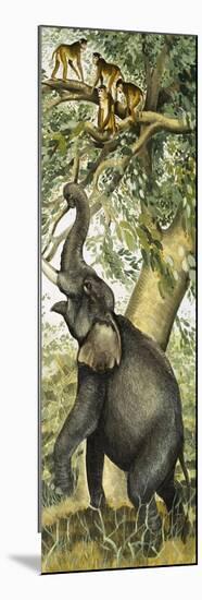 Elephant and Monkeys-English School-Mounted Giclee Print