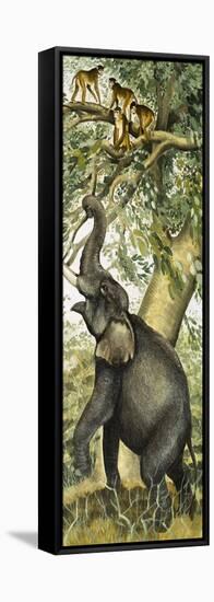 Elephant and Monkeys-English School-Framed Stretched Canvas