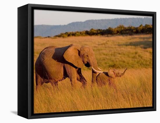 Elephant and Offspring, Masai Mara Wildlife Reserve, Kenya-Vadim Ghirda-Framed Stretched Canvas