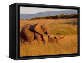 Elephant and Offspring, Masai Mara Wildlife Reserve, Kenya-Vadim Ghirda-Framed Stretched Canvas