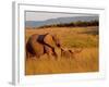 Elephant and Offspring, Masai Mara Wildlife Reserve, Kenya-Vadim Ghirda-Framed Photographic Print