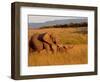 Elephant and Offspring, Masai Mara Wildlife Reserve, Kenya-Vadim Ghirda-Framed Photographic Print