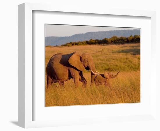 Elephant and Offspring, Masai Mara Wildlife Reserve, Kenya-Vadim Ghirda-Framed Photographic Print