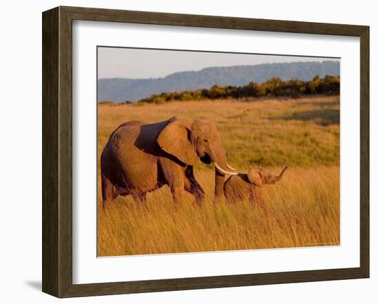 Elephant and Offspring, Masai Mara Wildlife Reserve, Kenya-Vadim Ghirda-Framed Photographic Print