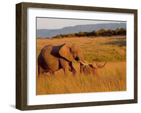 Elephant and Offspring, Masai Mara Wildlife Reserve, Kenya-Vadim Ghirda-Framed Photographic Print