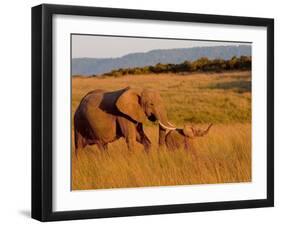 Elephant and Offspring, Masai Mara Wildlife Reserve, Kenya-Vadim Ghirda-Framed Photographic Print