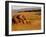 Elephant and Offspring, Masai Mara Wildlife Reserve, Kenya-Vadim Ghirda-Framed Photographic Print