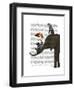 Elephant and Penguin-Fab Funky-Framed Art Print