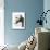 Elephant and Penguin-Fab Funky-Mounted Art Print displayed on a wall