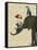 Elephant and Penguins-Fab Funky-Framed Stretched Canvas