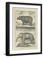 Elephant and Rhino-Denis Diderot-Framed Art Print