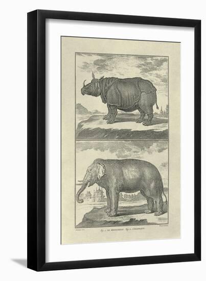 Elephant and Rhino-Denis Diderot-Framed Art Print