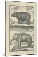 Elephant and Rhino-Denis Diderot-Mounted Art Print