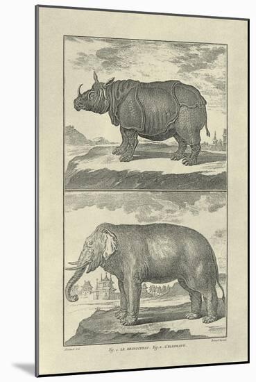 Elephant and Rhino-Denis Diderot-Mounted Art Print