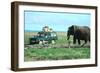 Elephant and Safari Van, Kenya-Peter Thompson-Framed Photographic Print