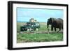 Elephant and Safari Van, Kenya-Peter Thompson-Framed Photographic Print