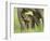 Elephant and Young, Corbett National Park, Uttaranchal, India-Jagdeep Rajput-Framed Photographic Print