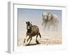 Elephant and Zebra, Etosha, 2018-Eric Meyer-Framed Photographic Print