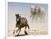 Elephant and Zebra, Etosha, 2018-Eric Meyer-Framed Photographic Print