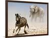 Elephant and Zebra, Etosha, 2018-Eric Meyer-Framed Photographic Print