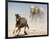 Elephant and Zebra, Etosha, 2018-Eric Meyer-Framed Photographic Print