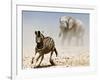 Elephant and Zebra, Etosha, 2018-Eric Meyer-Framed Photographic Print